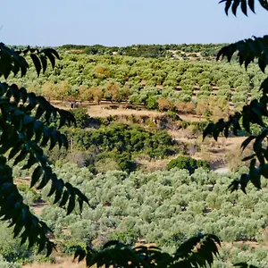 La Alegria De Cuevas Rus